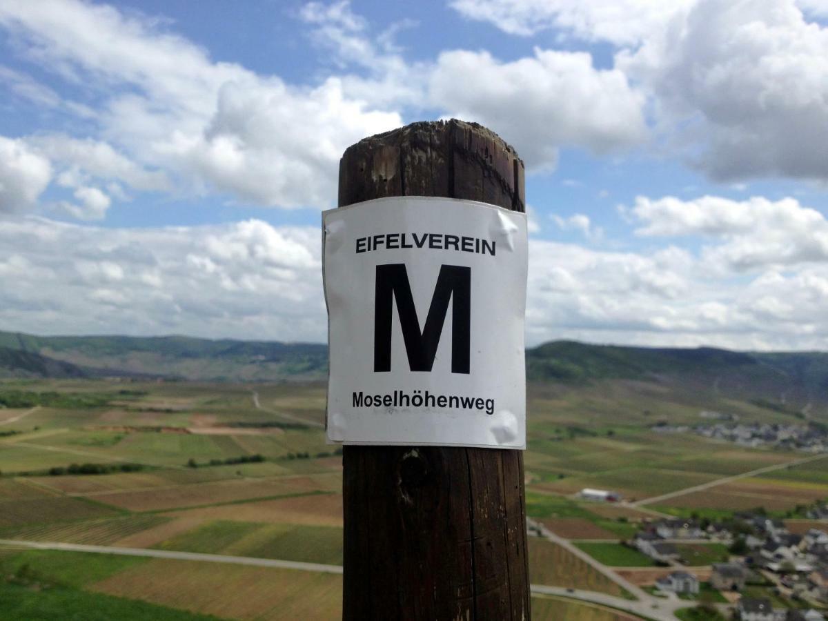 Gaestehaus Hoffmann Farschweiler Esterno foto