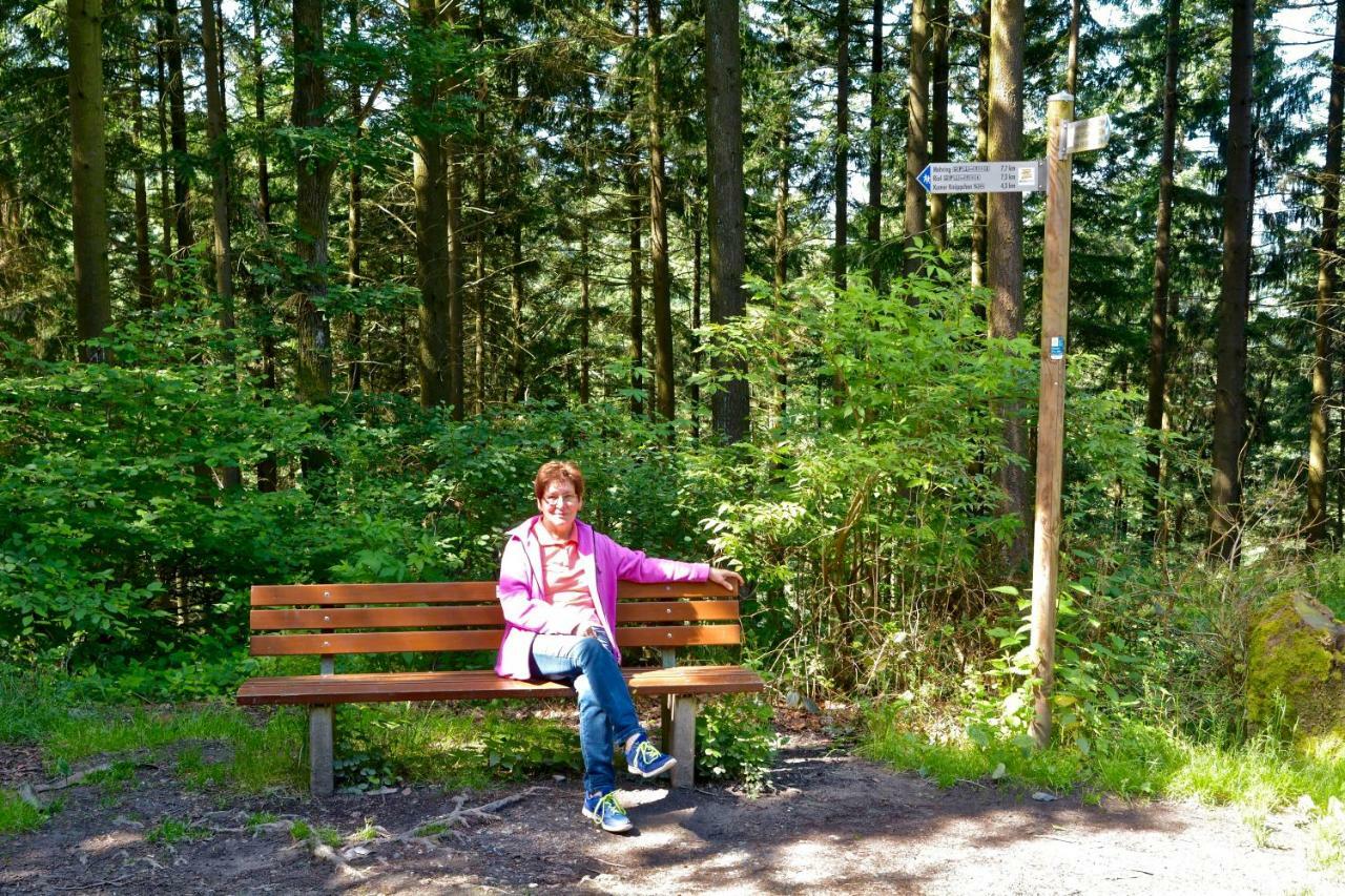 Gaestehaus Hoffmann Farschweiler Esterno foto