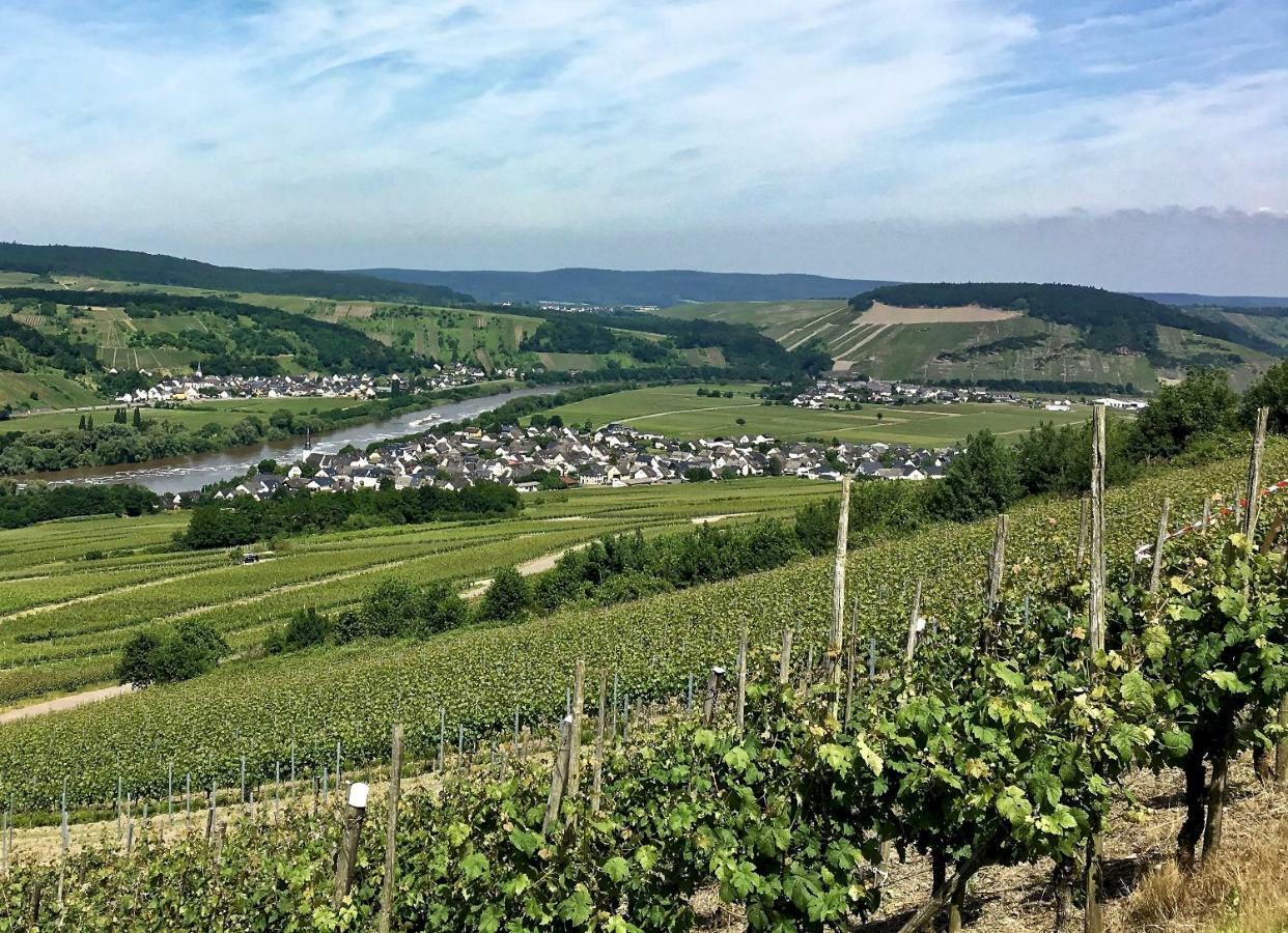 Gaestehaus Hoffmann Farschweiler Esterno foto